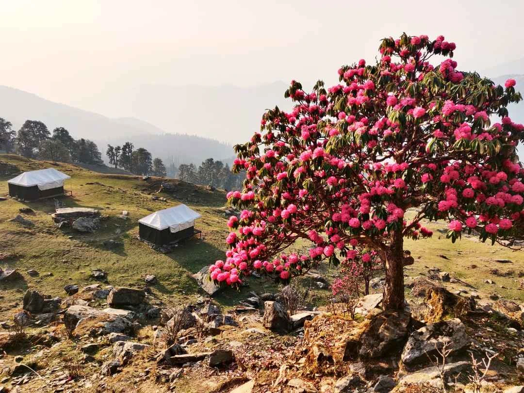 Himalayan mountain range view from Tungnath trek route